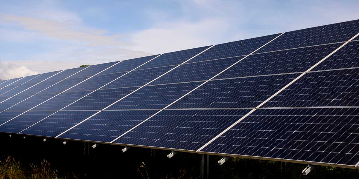 Local Solar Farm