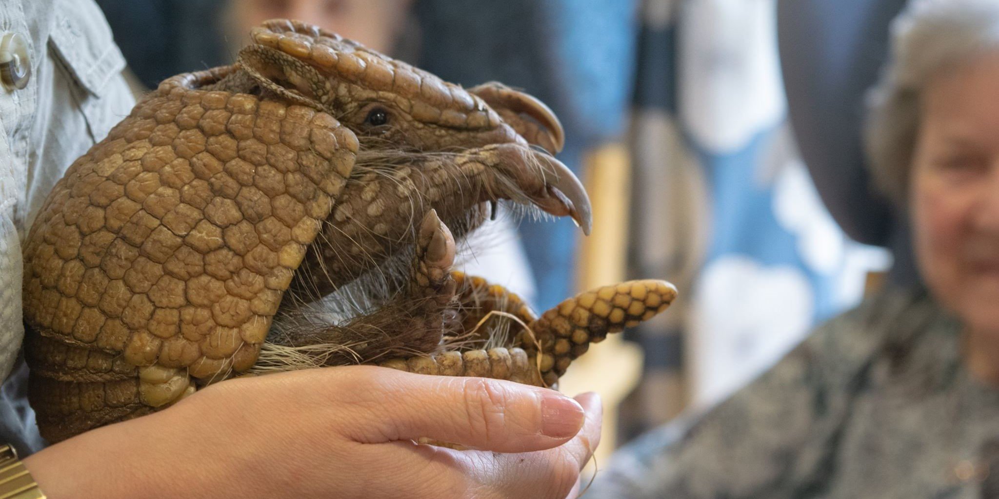 Animal Encounters