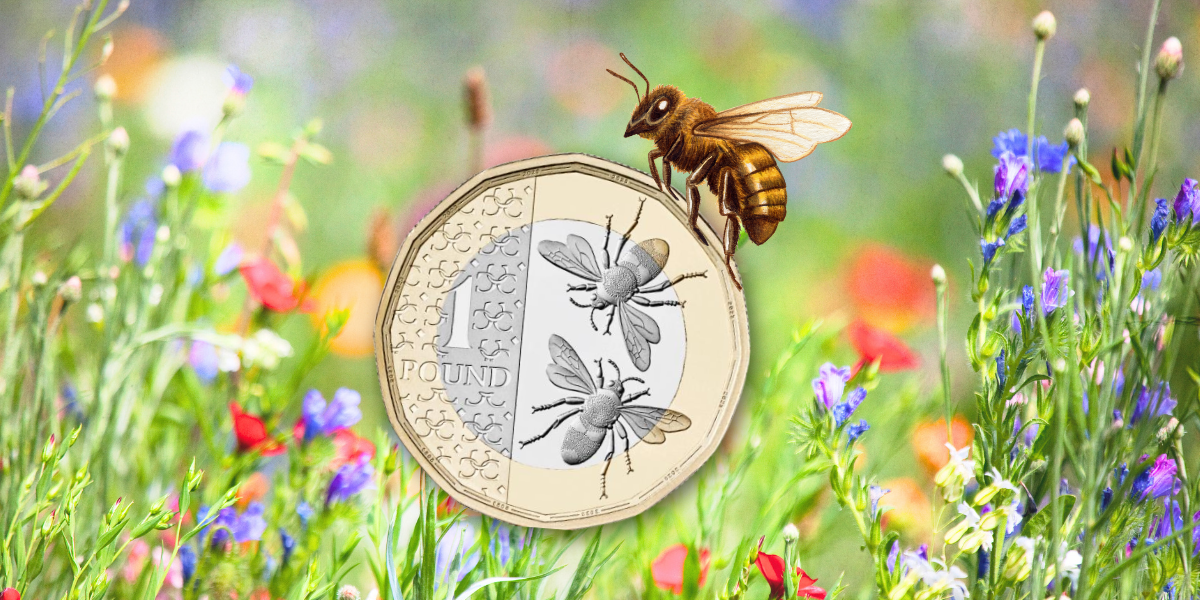 An Introduction to Beekeeping